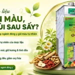 Dược liệu biến màu, mất mùi sau sấy? Máy sấy lạnh phù hợp ngành đông y giữ màu tự nhiên Máy sấy lạnh phù hợp ngành đông y