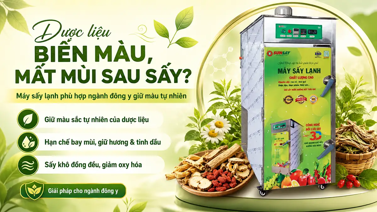 Dược liệu biến màu, mất mùi sau sấy? Máy sấy lạnh phù hợp ngành đông y giữ màu tự nhiên
