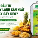 Có nên đầu tư Máy sấy lạnh sản xuất trái cây sấy dẻo khi mới bắt đầu khởi nghiệp? Máy sấy lạnh sản xuất trái cây sấy dẻo