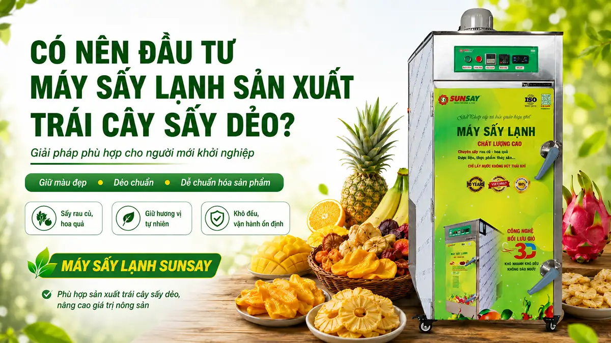 Có nên đầu tư Máy sấy lạnh sản xuất trái cây sấy dẻo khi mới bắt đầu khởi nghiệp?