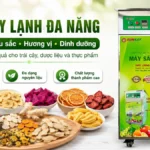 Máy sấy lạnh ứng dụng đa năng trong sấy trái cây, dược liệu và thực phẩm Máy sấy lạnh ứng dụng đa năng
