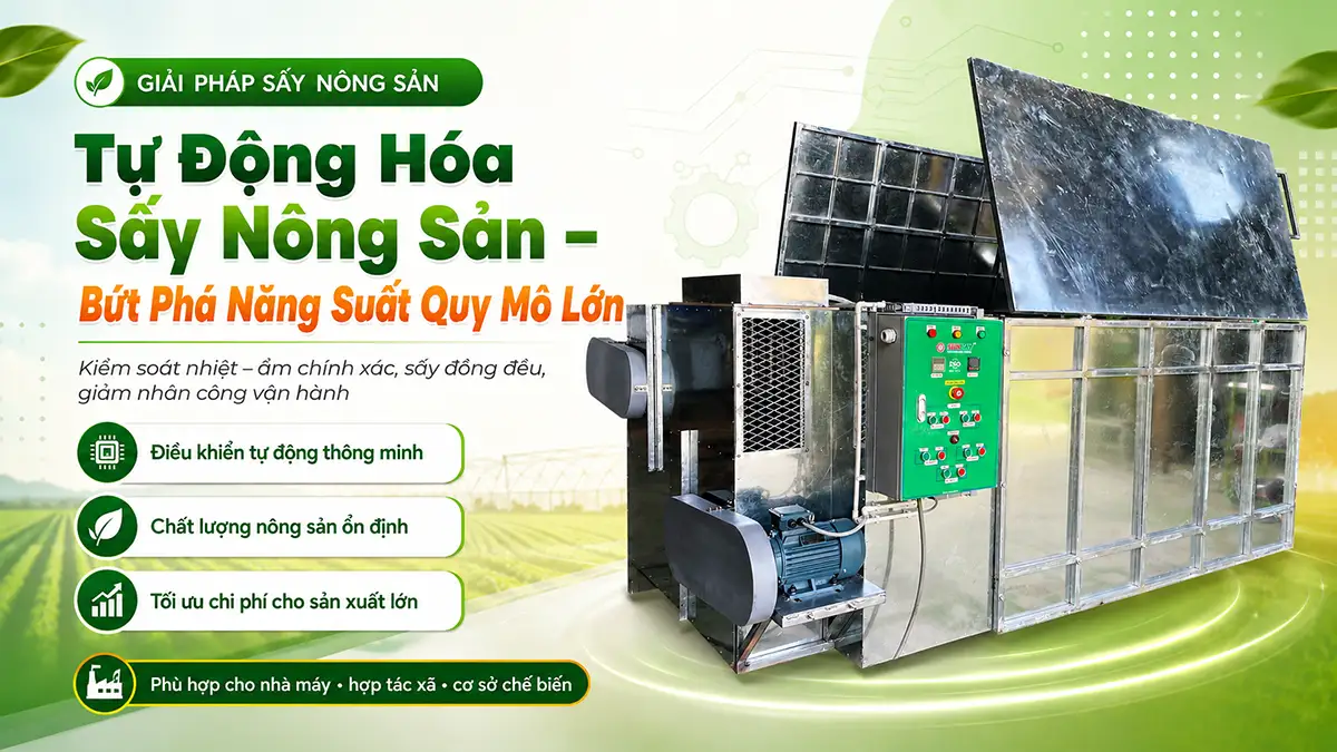 Giải pháp máy sấy nông sản điều khiển tự động cho mô hình sản xuất quy mô lớn
