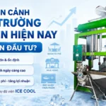 Toàn cảnh thị trường đá viên hiện nay: Có nên đầu tư? Toàn cảnh thị trường đá viên hiện nay