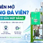 Có nên mở xưởng đá viên khi đã có sẵn mặt bằng? Có nên mở xưởng đá viên