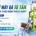 Đầu tư máy đá 10 tấn: Khi nào là thời điểm thích hợp? Đầu tư máy đá 10 tấn