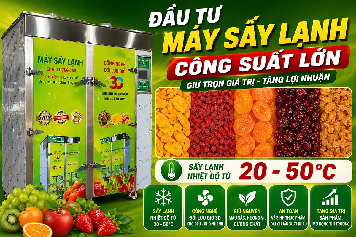 Kinh nghiệm đầu tư máy sấy lạnh công suất lớn: 7 điều doanh nghiệp nên kiểm tra trước khi đầu tư