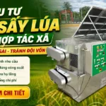 Checklist đầu tư máy sấy lúa cho hợp tác xã: tránh mua sai, tránh đội vốn Đầu tư máy sấy lúa cho hợp tác xã