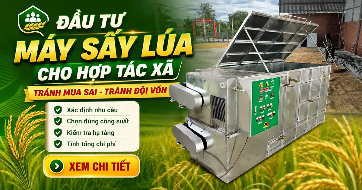 Đầu tư máy sấy lúa cho hợp tác xã