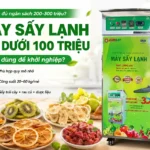 Không đủ ngân sách 200–300 triệu? Máy sấy lạnh giá dưới 100 triệu có đủ dùng? Máy sấy lạnh giá dưới 100 triệu