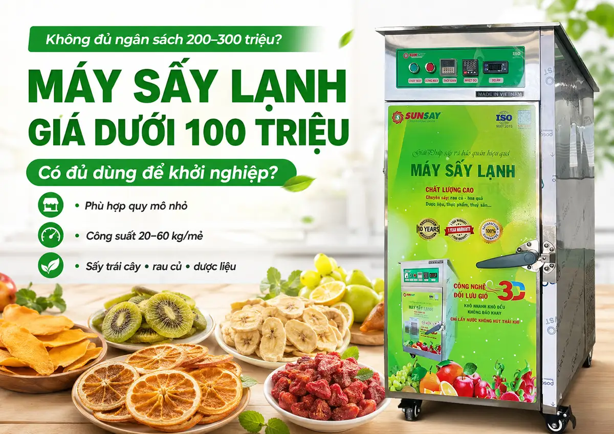 Không đủ ngân sách 200–300 triệu? Máy sấy lạnh giá dưới 100 triệu có đủ dùng?