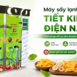 Chi phí sấy quá lớn? Máy sấy lạnh tiết kiệm điện năng giúp doanh nghiệp tối ưu vận hành Máy sấy lạnh tiết kiệm điện năng
