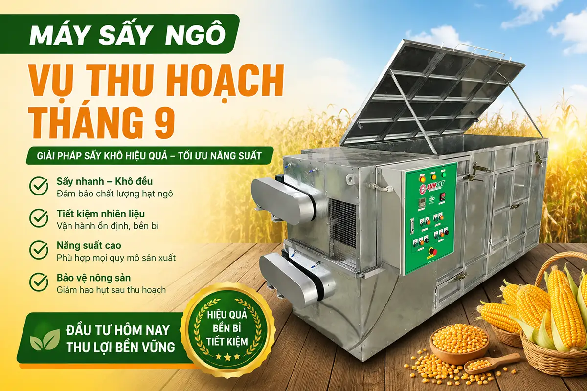 Máy sấy ngô vụ thu hoạch tháng 9 giúp chủ động mùa mưa, không còn nỗi lo phụ thuộc thời tiết