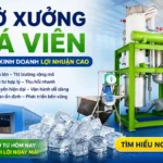 Mở xưởng đá viên từ A-Z: Những hạng mục cần kiểm tra trước khi lắp máy Mở xưởng đá viên