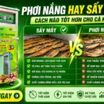 Phơi nắng hay sấy máy cá khô: khác nhau ở chất lượng, chi phí như thế nào?? Phơi nắng hay sấy máy cá khô