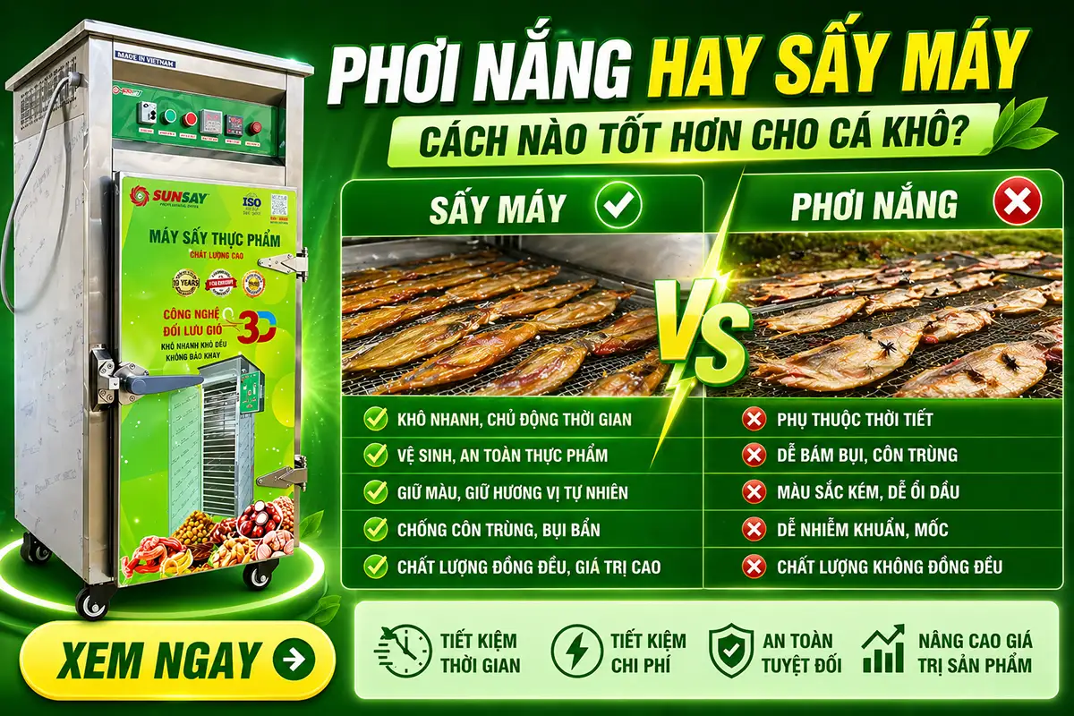 Phơi nắng hay sấy máy cá khô: khác nhau ở chất lượng, chi phí như thế nào??