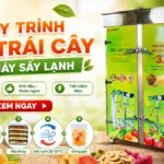 Quy trình sấy trái cây với máy sấy lạnh chuẩn kỹ thuật: Từ sơ chế đến đóng gói Quy trình sấy trái cây với máy sấy lạnh