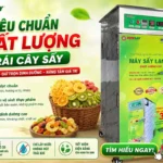 Tiêu chuẩn chất lượng trái cây sấy xuất khẩu: Máy sấy lạnh cần đáp ứng gì? Tiêu chuẩn chất lượng trái cây sấy xuất khẩu