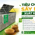 Tiêu chuẩn sấy lúa xuất khẩu gồm những gì? Doanh nghiệp cần lưu ý Tiêu chuẩn sấy lúa xuất khẩu