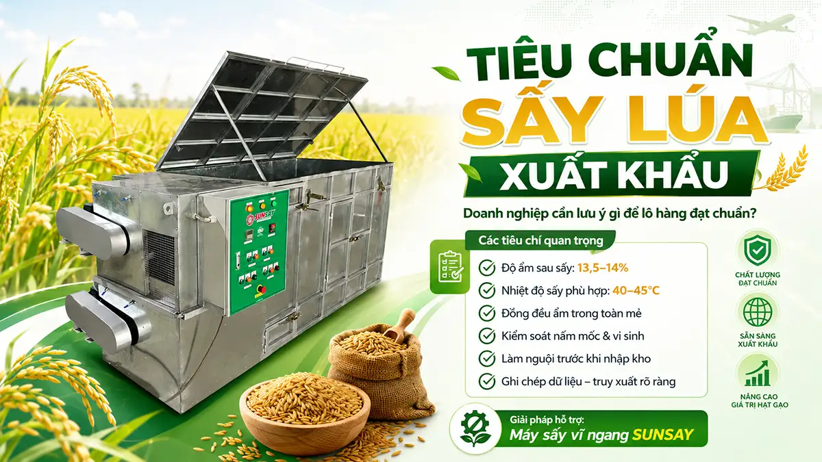 Tiêu chuẩn sấy lúa xuất khẩu gồm những gì? Doanh nghiệp cần lưu ý