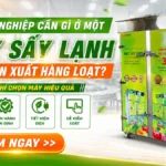 Doanh nghiệp cần gì ở một máy sấy lạnh cho sản xuất hàng loạt? Máy sấy lạnh cho sản xuất hàng loạt