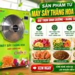 Sản phẩm từ máy sấy thăng hoa SUNSAY có đạt tiêu chuẩn xuất khẩu không? Sản phẩm từ máy sấy thăng hoa SUNSAY