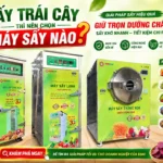 Nếu chỉ sấy trái cây thì nên chọn máy sấy nào? Cách tránh đầu tư dư công nghệ Sấy trái cây nên chọn máy sấy nào?