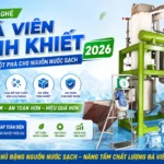 Sự khác biệt của công nghệ đá viên tinh khiết 2026 Công nghệ đá viên tinh khiết 2026