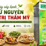 Máy sấy lạnh giữ nguyên giá trị thẩm mỹ thực phẩm giúp giảm rủi ro hàng bị trả về Máy sấy lạnh giữ nguyên giá trị thẩm mỹ
