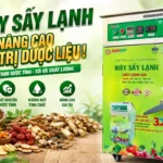 Máy sấy lạnh nâng cao giá trị dược liệu, hướng đi bền vững cho ngành chế biến dược liệu Máy sấy lạnh nâng cao giá trị dược liệu