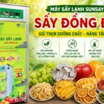 Lo lắng thành phẩm không đạt chuẩn? Máy sấy lạnh sấy đồng đều giúp bạn yên tâm sản xuất Máy sấy lạnh sấy đồng đều