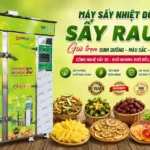 Máy sấy nhiệt đối lưu sấy rau củ giúp nâng cao giá trị nông sản sau thu hoạch Máy sấy nhiệt đối lưu sấy rau củ