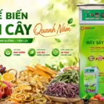 Làm sao để chế biến trái cây quanh năm mà không lo áp lực tiêu thụ mùa vụ? Chế biến trái cây quanh năm