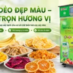 Máy sấy lạnh chế biến trái cây sấy dẻo – Giải pháp hạn chế thâm màu, mất vị Máy sấy lạnh chế biến trái cây sấy dẻo