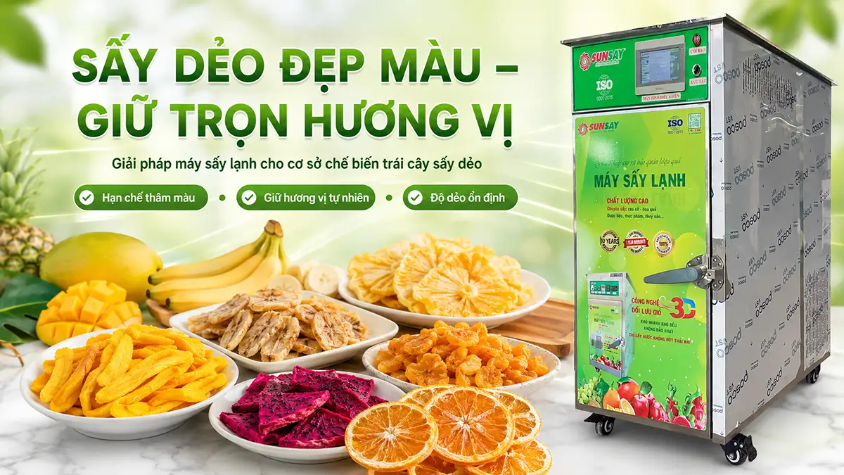 Máy sấy lạnh chế biến trái cây sấy dẻo – Giải pháp hạn chế thâm màu, mất vị