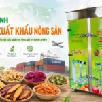 Máy sấy lạnh hỗ trợ xuất khẩu nông sản – Giải pháp nâng chất lượng sản phẩm trước áp lực tiêu chuẩn quốc tế Máy sấy lạnh hỗ trợ xuất khẩu nông sản