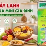 Máy sấy lạnh hoa quả mini gia đình có thực sự đáng mua? Máy sấy lạnh hoa quả mini gia đình