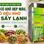 Vì sao nên dùng máy sấy lạnh sấy rau củ khô thay cho phương pháp truyền thống? Máy sấy lạnh sấy rau củ khô
