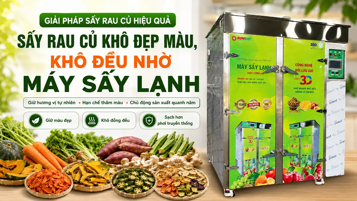 Vì sao nên dùng máy sấy lạnh sấy rau củ khô thay cho phương pháp truyền thống?