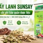 Máy sấy lạnh tiết kiệm chi phí bảo quản dược liệu và nâng cao chất lượng đầu ra Máy sấy lạnh tiết kiệm chi phí bảo quản