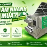Máy sấy lúa gạo giảm ẩm nhanh mùa mưa, giải pháp thay thế phơi nắng Máy sấy lúa gạo giảm ẩm nhanh mùa mưa