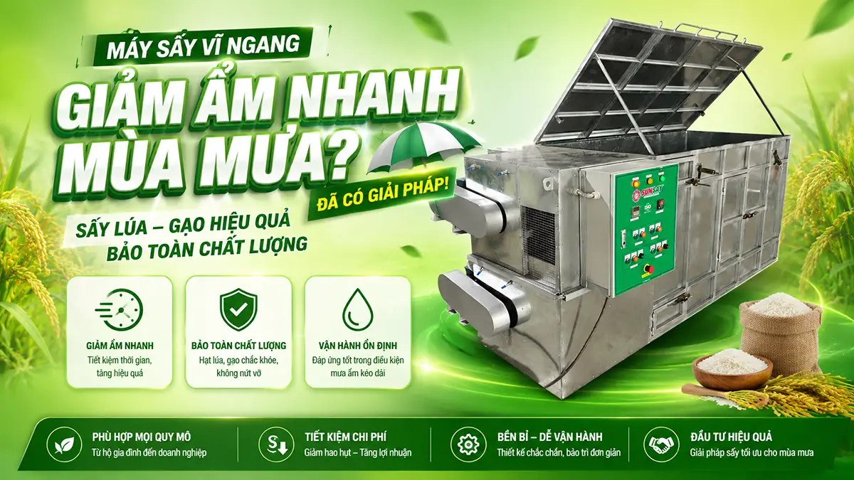 Máy sấy lúa gạo giảm ẩm nhanh mùa mưa, giải pháp thay thế phơi nắng