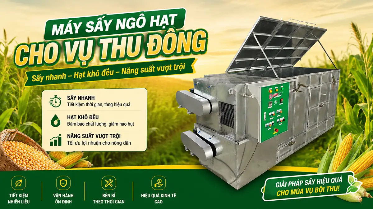 Máy sấy ngô hạt cho vụ thu đông: Không còn phụ thuộc vào nắng, giảm áp lực mùa thu hoạch