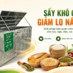 Máy sấy nông sản giảm nguy cơ nấm mốc, giải quyết nỗi lo bảo quản nông sản Máy sấy nông sản giảm nguy cơ nấm mốc
