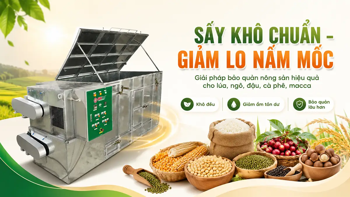 Máy sấy nông sản giảm nguy cơ nấm mốc, giải quyết nỗi lo bảo quản nông sản
