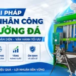 Giải pháp giảm nhân công cho xưởng đá với máy đá viên tự động Giải pháp giảm nhân công cho xưởng đá