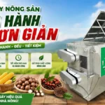 Máy sấy nông sản vận hành đơn giản – Giải pháp hiện đại hóa sản xuất nông nghiệp Máy sấy nông sản vận hành đơn giản