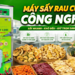 Không còn phơi nắng, không còn lo mưa gió khi có máy sấy rau củ quả công nghiệp Máy sấy rau củ quả công nghiệp