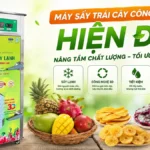 Máy sấy trái cây công nghiệp hiện đại – Giải pháp chuẩn hóa chất lượng thành phẩm Máy sấy trái cây công nghiệp hiện đại
