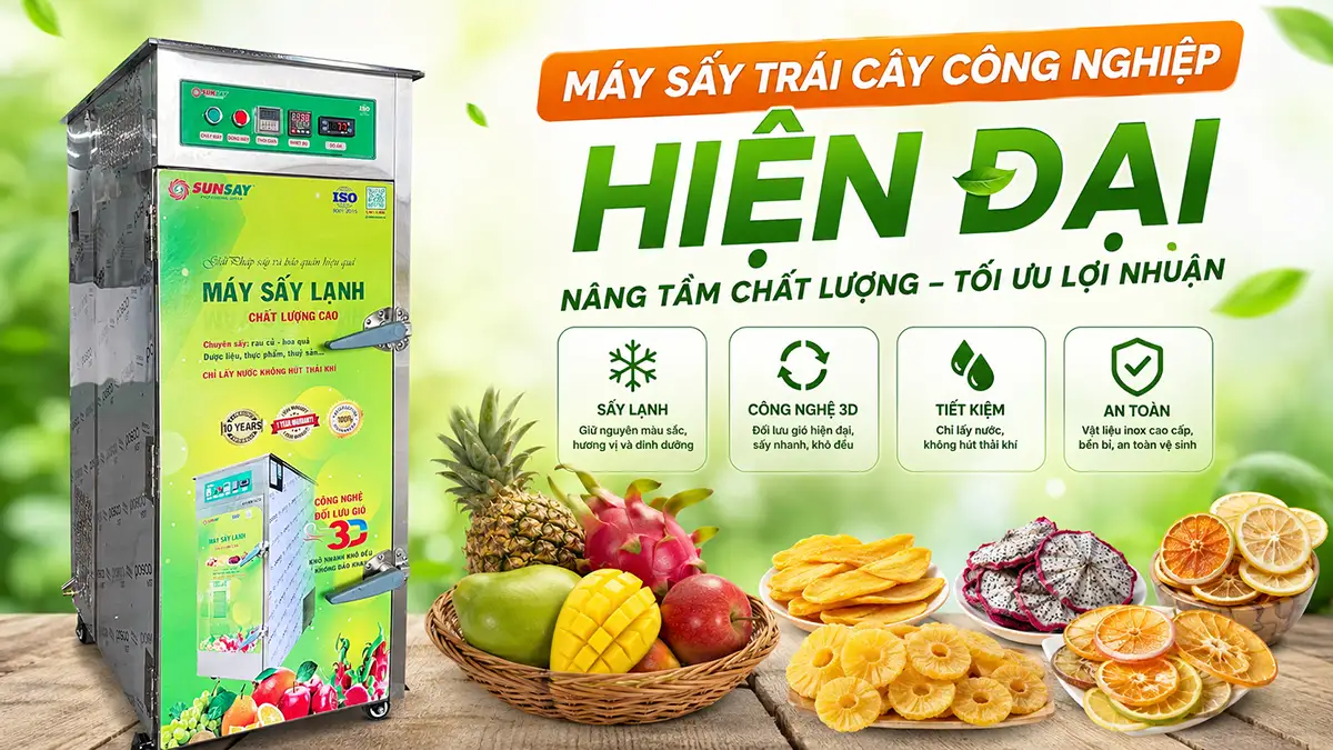 Máy sấy trái cây công nghiệp hiện đại – Giải pháp chuẩn hóa chất lượng thành phẩm