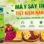 Máy sấy trái cây tiết kiệm năng lượng cho hộ kinh doanh và doanh nghiệp Máy sấy trái cây tiết kiệm năng lượng